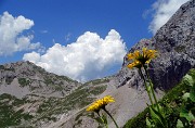 SENTIERO DEI FIORI ‘Claudio Brissoni’ da Capanna 2000 il 10 luglio 2023- FOTOGALLERY